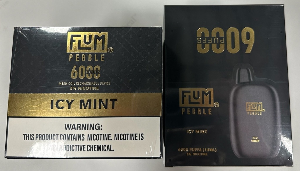 Flum Pebble Icy Mint 10-Piece Box